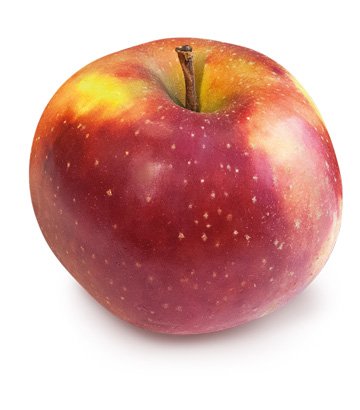 Bio-Obst vom Bodensee Apfel Boskoop