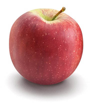 Bio-Obst vom Bodensee Apfel Braeburn