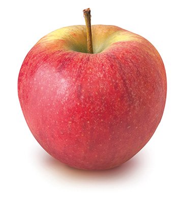 Bio-Obst vom Bodensee Apfel Elstar