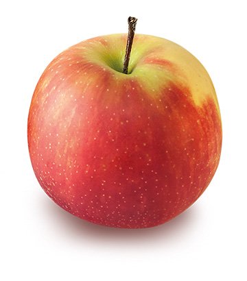 Bio-Obst vom Bodensee Apfel Jonagold