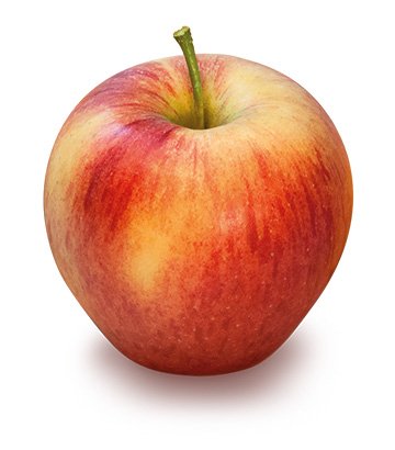 Bio-Obst vom Bodensee Apfel Pinova