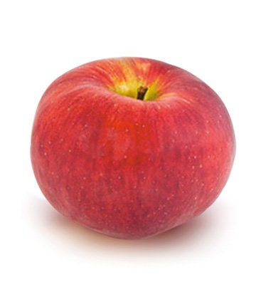 Bio-Obst vom Bodensee Apfel Santana