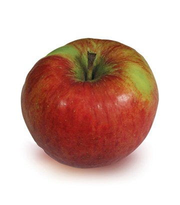 Bio-Obst vom Bodensee Apfel Topaz